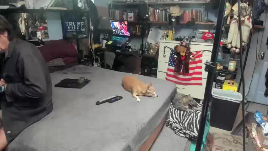 pink_black Cam Model Chat January 30, 2026
