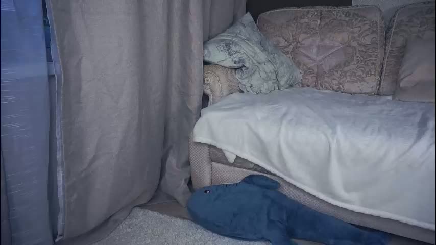 meghanantell Cam Model Chat January 30, 2026