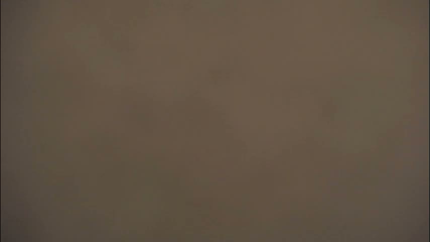 lili_magic Cam Model Chat January 31, 2026