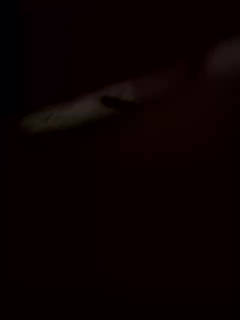 DygKiss Cam Model Chat January 31, 2026