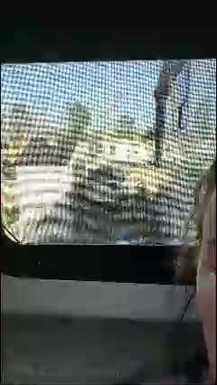 bmorganne420 Cam Model Chat January 31, 2026