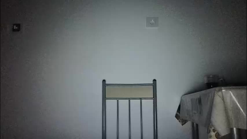 no_limit_coupl3 Cam Model Chat January 31, 2026