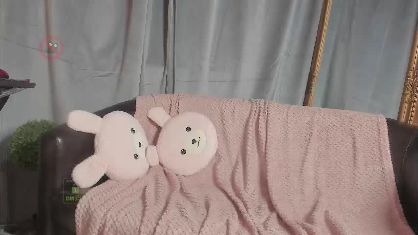 shydreamss Cam Model Chat January 31, 2026