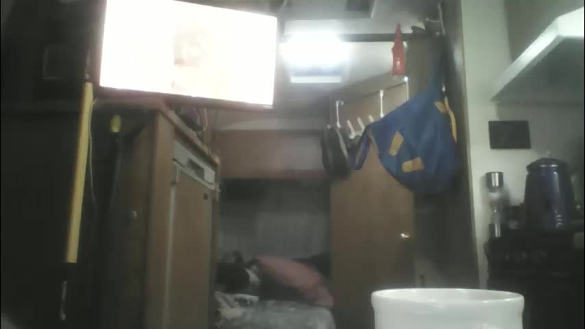 pink_black Cam Model Chat January 31, 2026