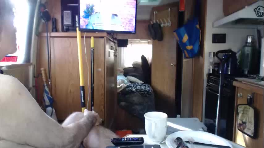 pink_black Cam Model Chat January 31, 2026