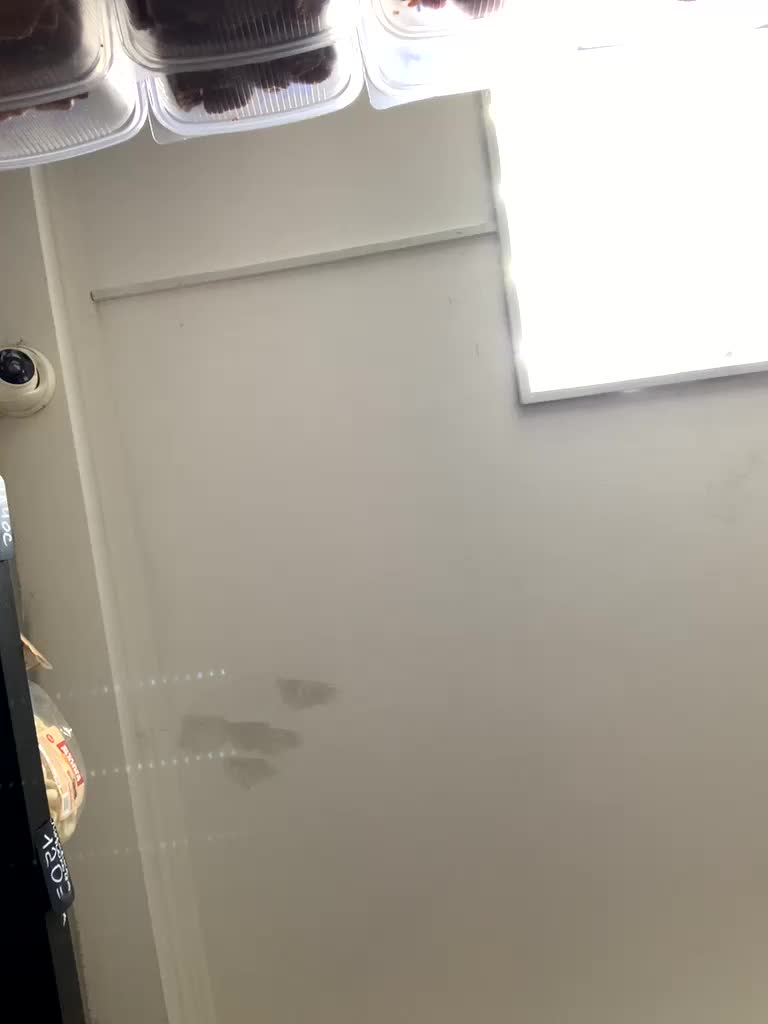 Yummypopka Cam Model Chat January 31, 2026