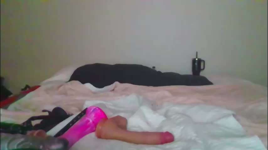 sdbeachfreaks Cam Model Chat January 31, 2026