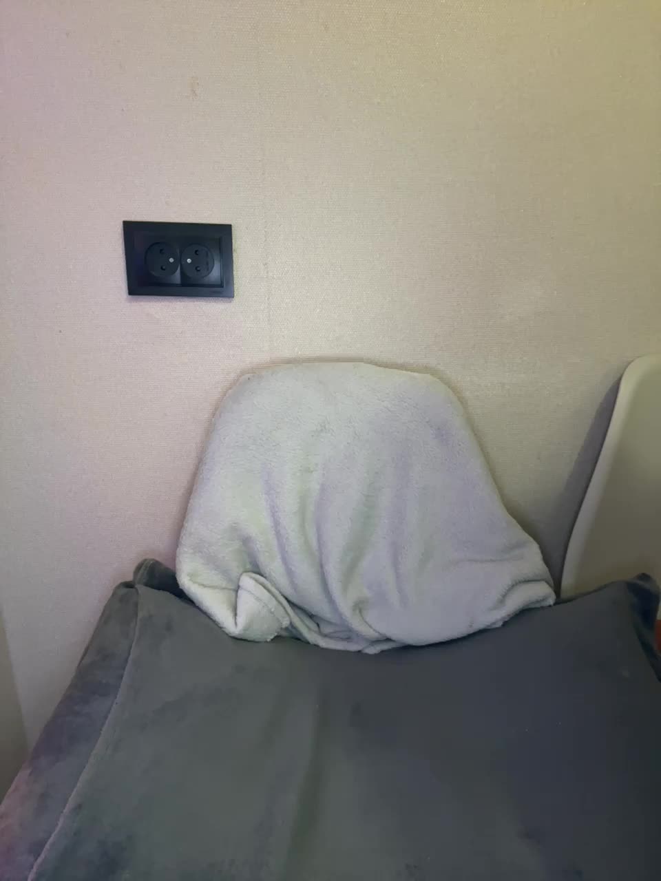 Sweet775 Cam Model Chat February 1, 2026