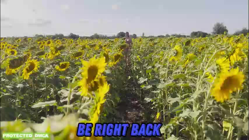 sunflower0907 Cam Model Chat February 2, 2026