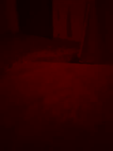 Skripach Cam Model Chat February 2, 2026