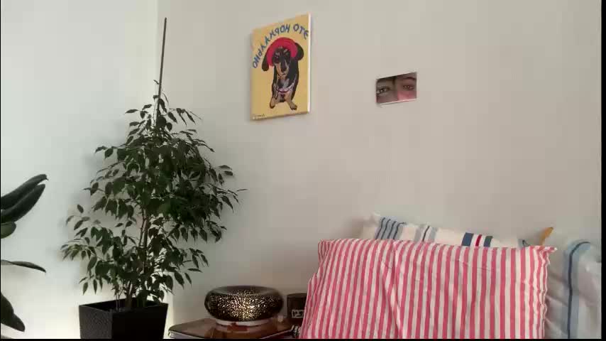 di_n_alex Cam Model Chat February 2, 2026