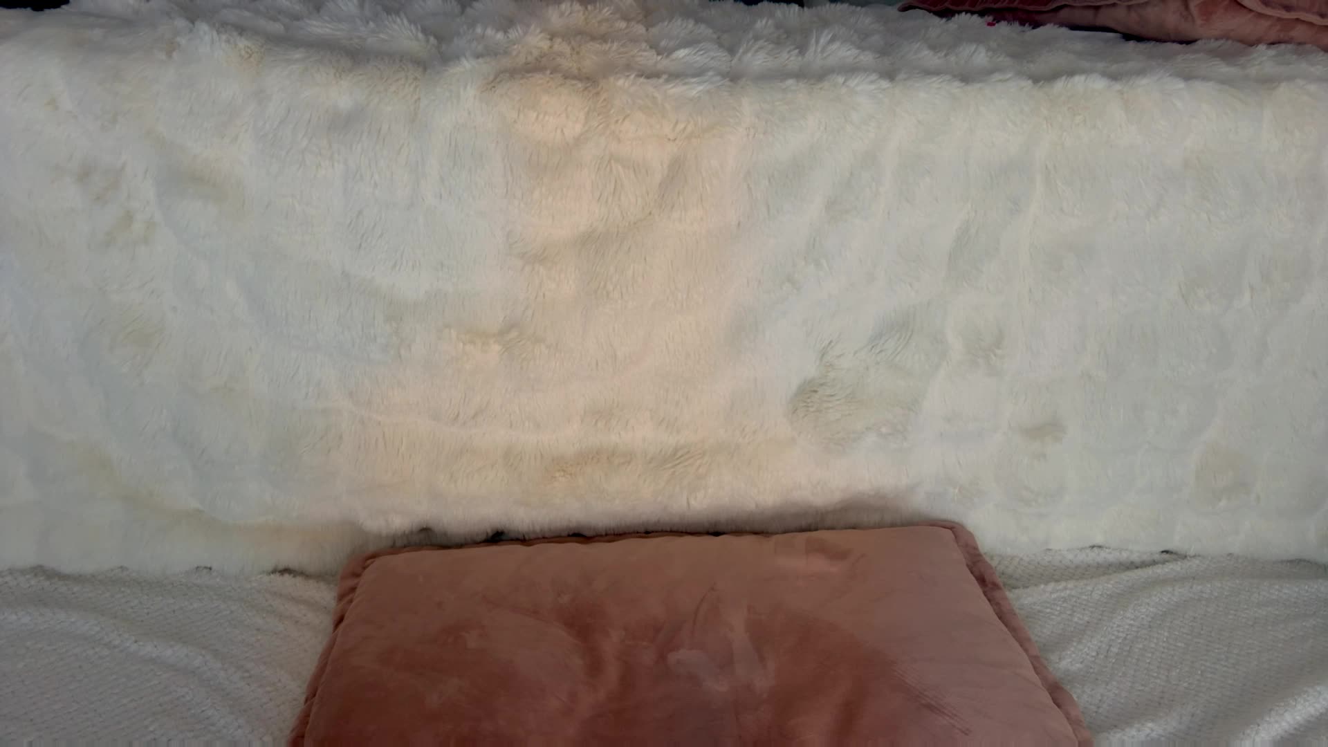 Yana_a Cam Model Chat February 2, 2026