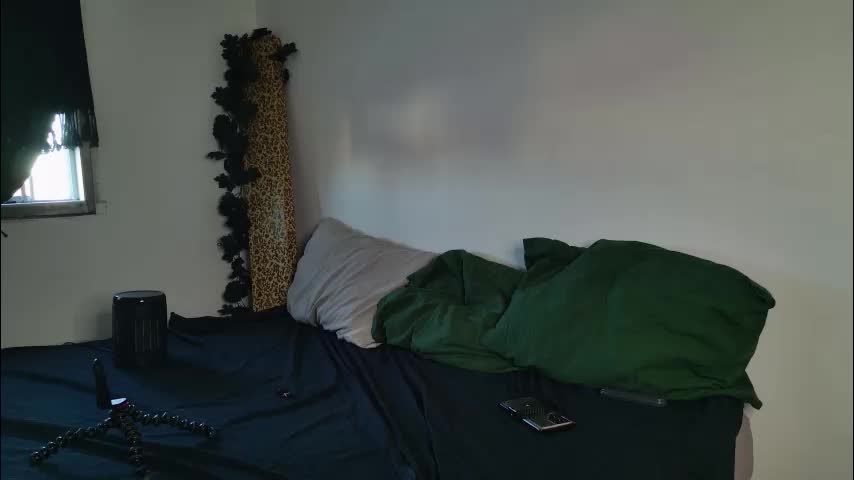 jackdesfeux Cam Model Chat February 2, 2026