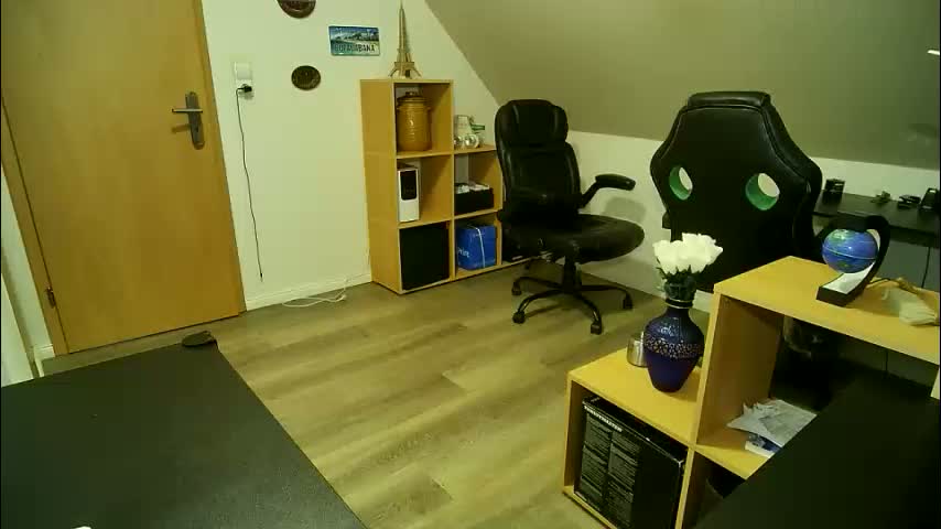 _korall_ Cam Model Chat February 12, 2026