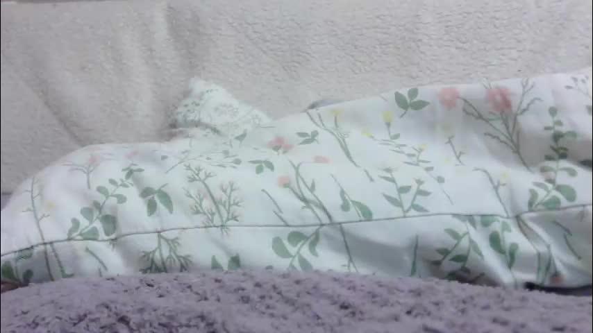 lenorrr Cam Model Chat February 12, 2026