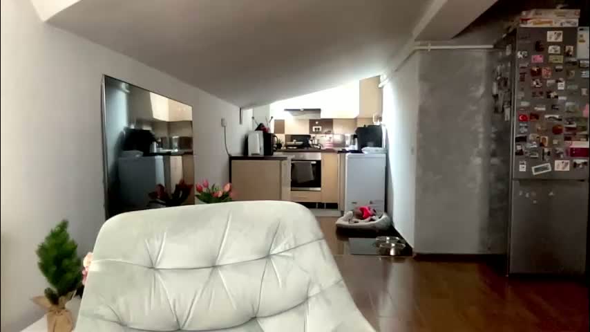 amyroberta92 Cam Model Chat February 12, 2026