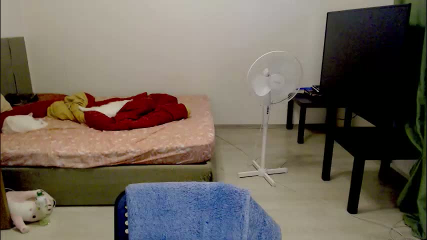 kitten_jenny01 Cam Model Chat February 12, 2026