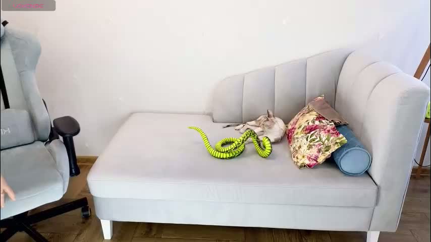 gardner_ava Cam Model Chat February 13, 2026