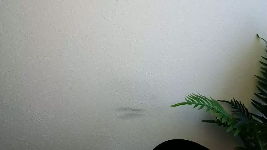 veryveryshygirl Cam Model Chat February 13, 2026