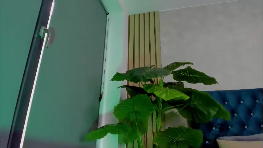 asshleysing Cam Model Chat February 13, 2026