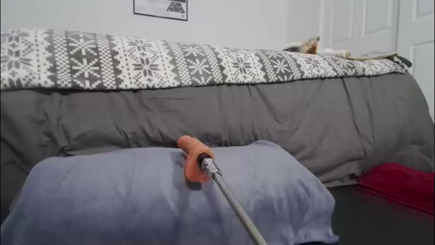 camillacassidy Cam Model Chat February 13, 2026