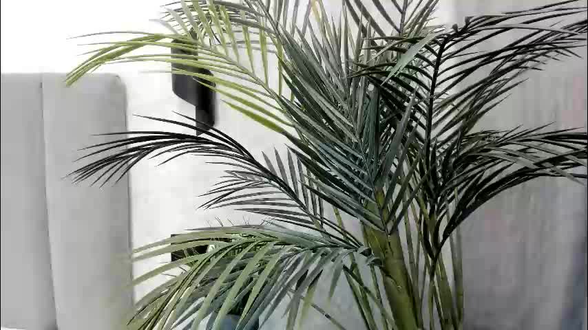 ultima_ma18 Cam Model Chat February 23, 2026