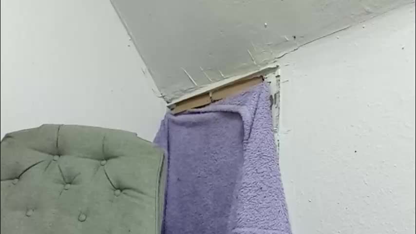 msalls1124 Cam Model Chat February 23, 2026