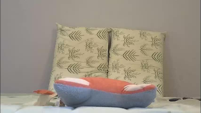 mattxfeet Cam Model Chat February 23, 2026