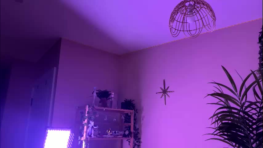 vixenp Cam Model Chat February 23, 2026