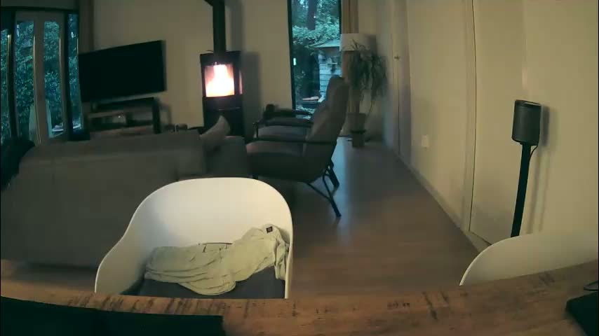 woodwurm Cam Model Chat February 23, 2026