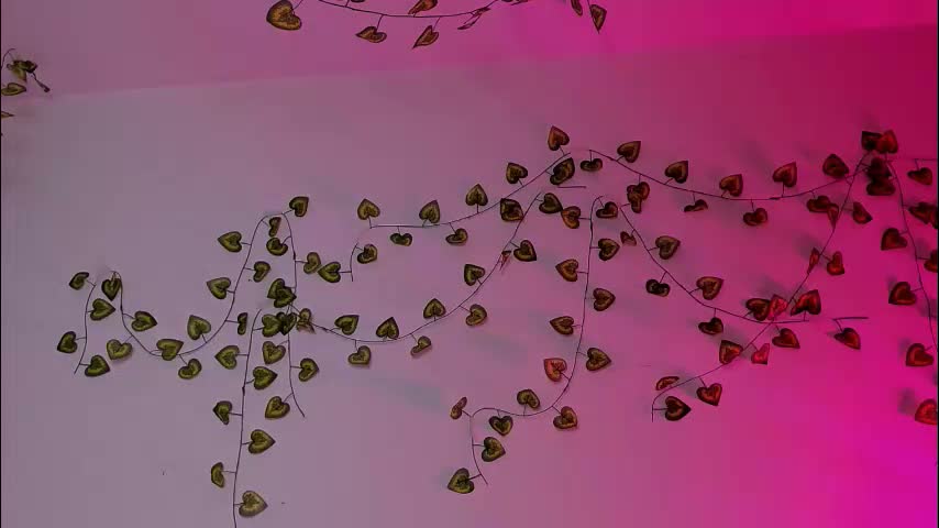 ladytrep Cam Model Chat February 23, 2026