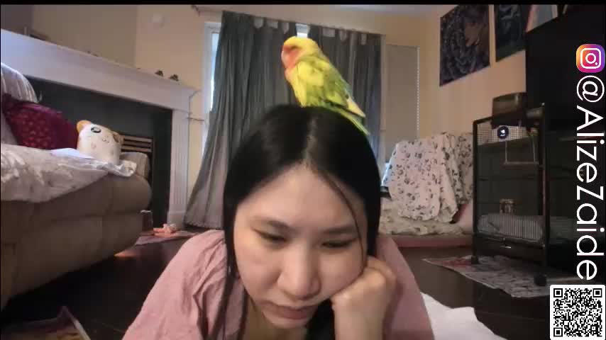 alizezaide Cam Model Chat February 24, 2026