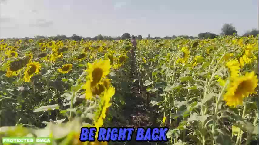 sunflower0907 Cam Model Chat February 24, 2026