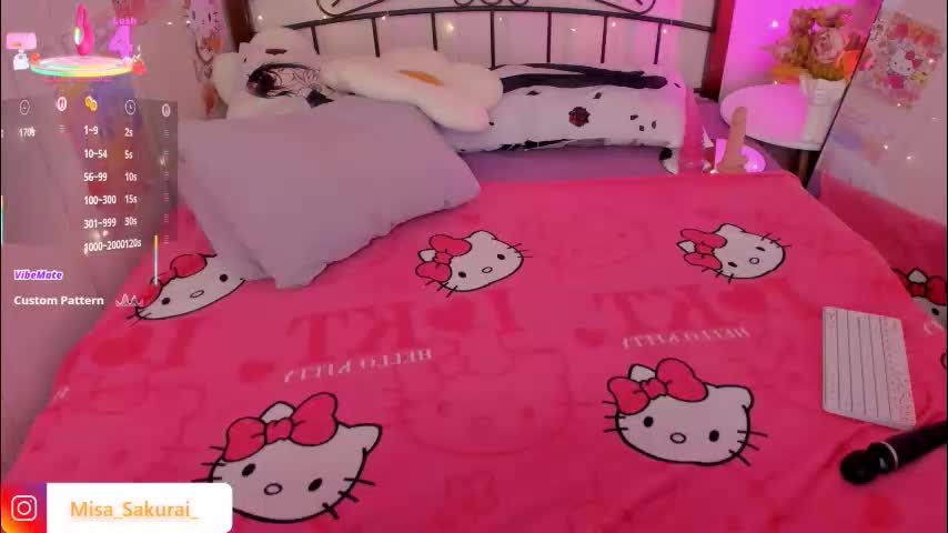 misasakurai Cam Model Chat February 24, 2026