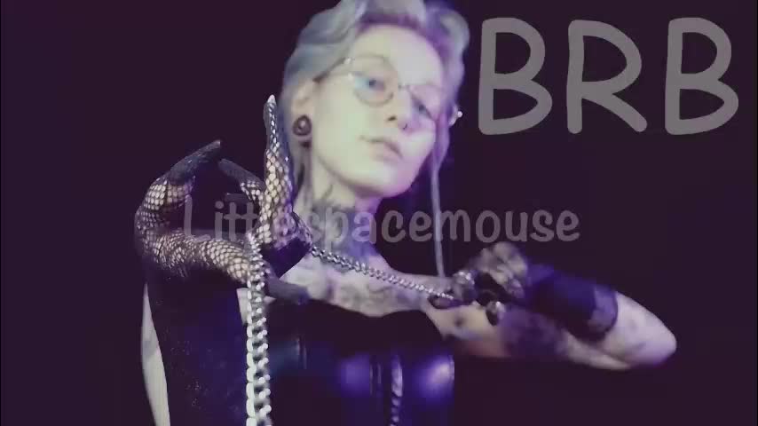 littlespacemouse Cam Model Chat February 24, 2026