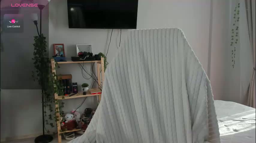 wwow_meow Cam Model Chat February 24, 2026