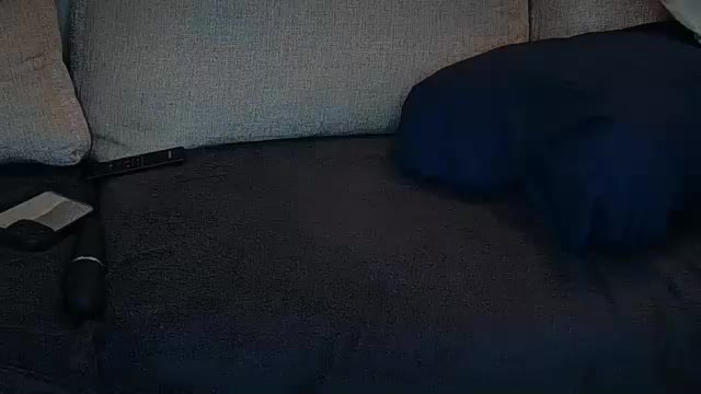 angelbabylovee Cam Model Chat February 24, 2026