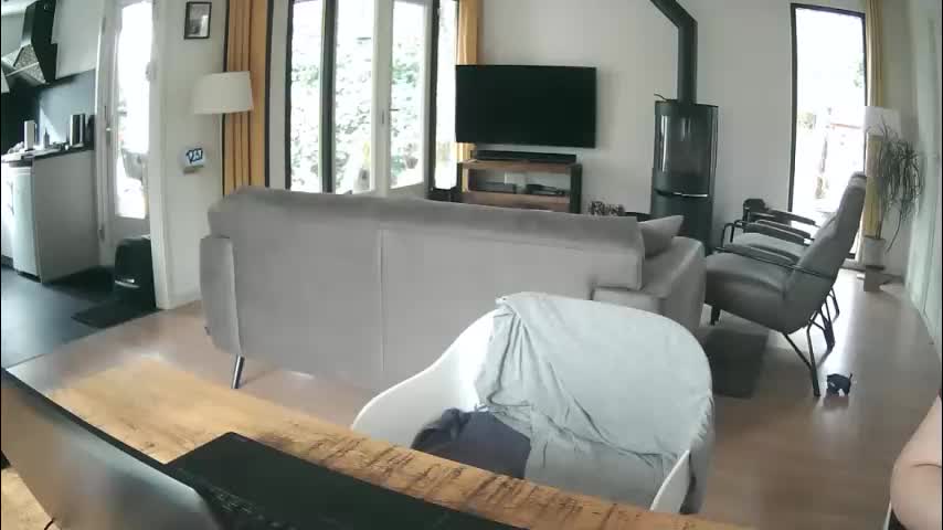 woodwurm Cam Model Chat February 24, 2026