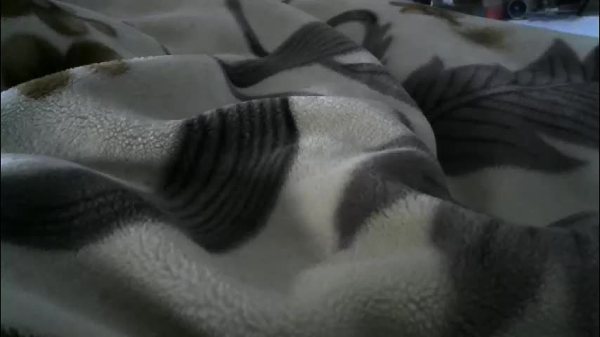 ebonyendebeest Cam Model Chat February 24, 2026