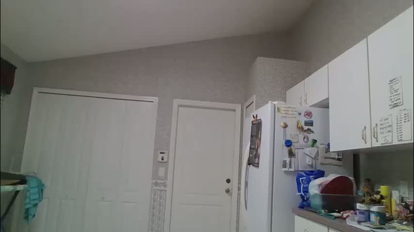 comebackpussy Cam Model Chat February 24, 2026