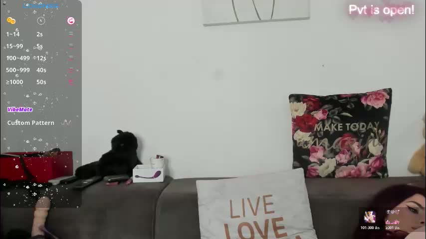 sas4a Cam Model Chat February 24, 2026