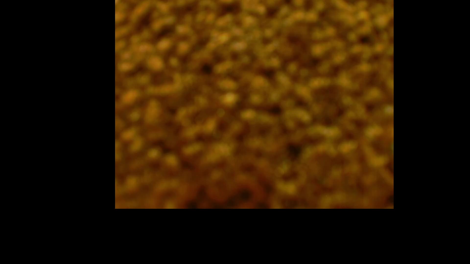 SweetCoople Cam Model Chat February 25, 2026