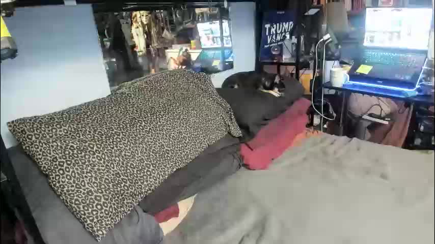 pink_black Cam Model Chat February 25, 2026