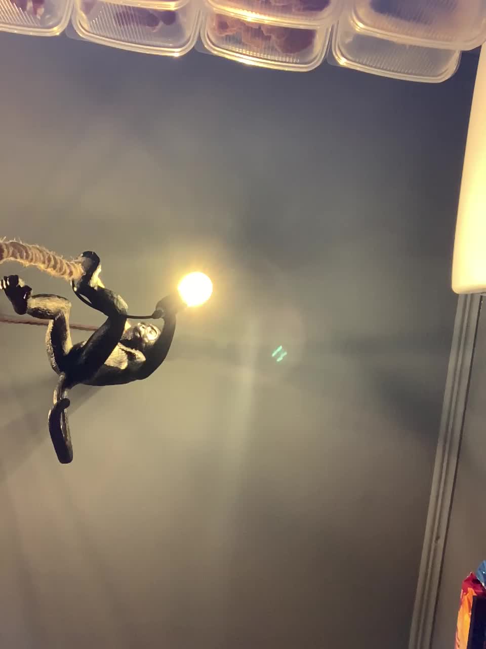 Yummypopka Cam Model Chat February 26, 2026