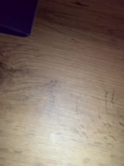 Yummypopka Cam Model Chat February 26, 2026