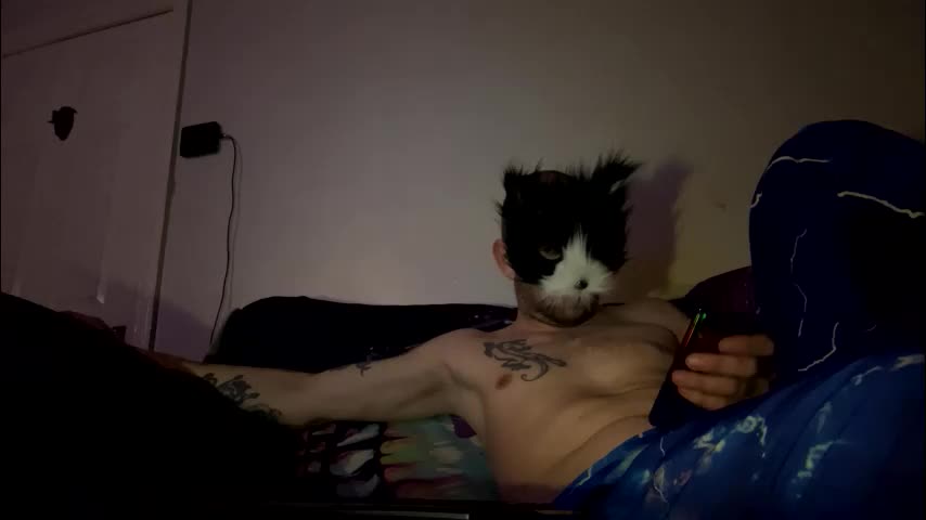 alex_essex69 Cam Model Chat February 26, 2026