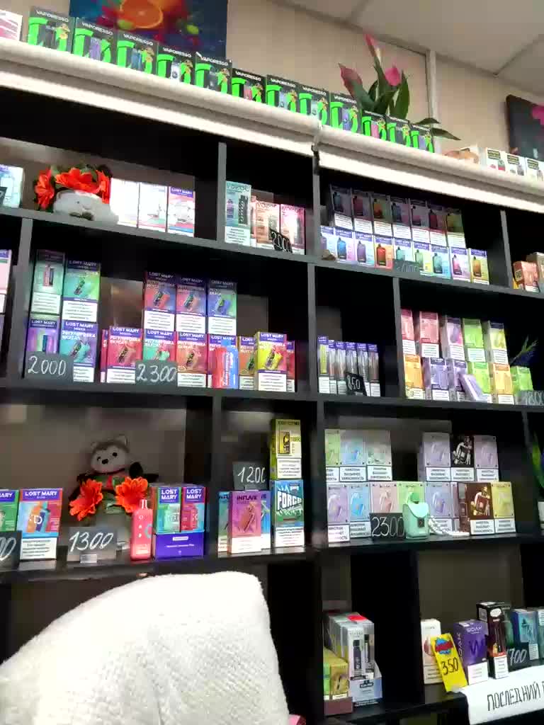 sofiedvige Cam Model Chat February 26, 2026