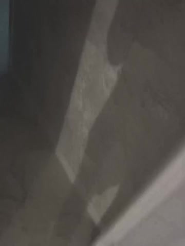 AlinaDimaBIPARA Cam Model Chat February 27, 2026