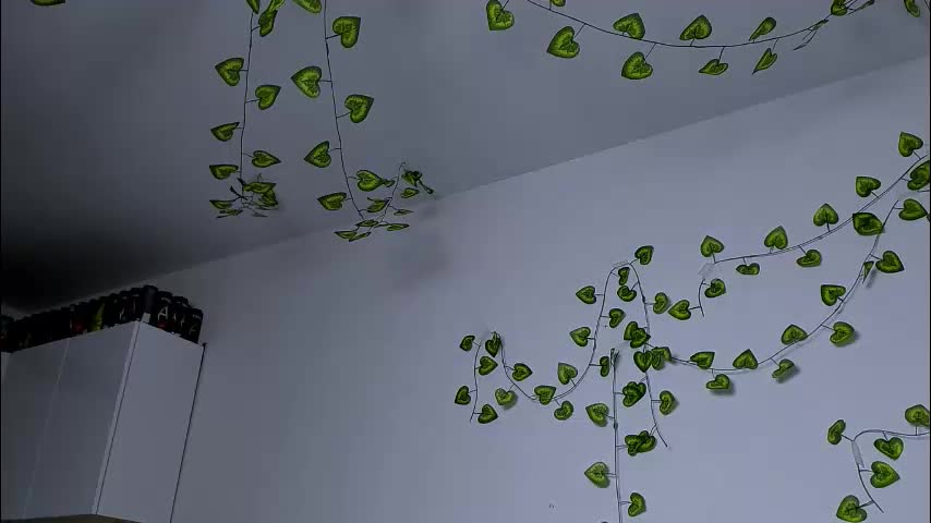 ladytrep Cam Model Chat March 1, 2026