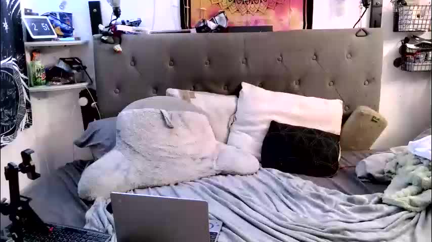 itscandibtch6969 Cam Model Chat March 1, 2026